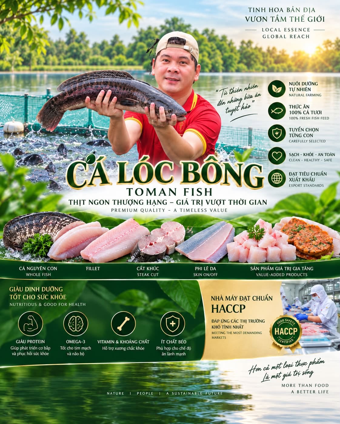 CÁ LÓC BÔNG – TOMAN FISH
