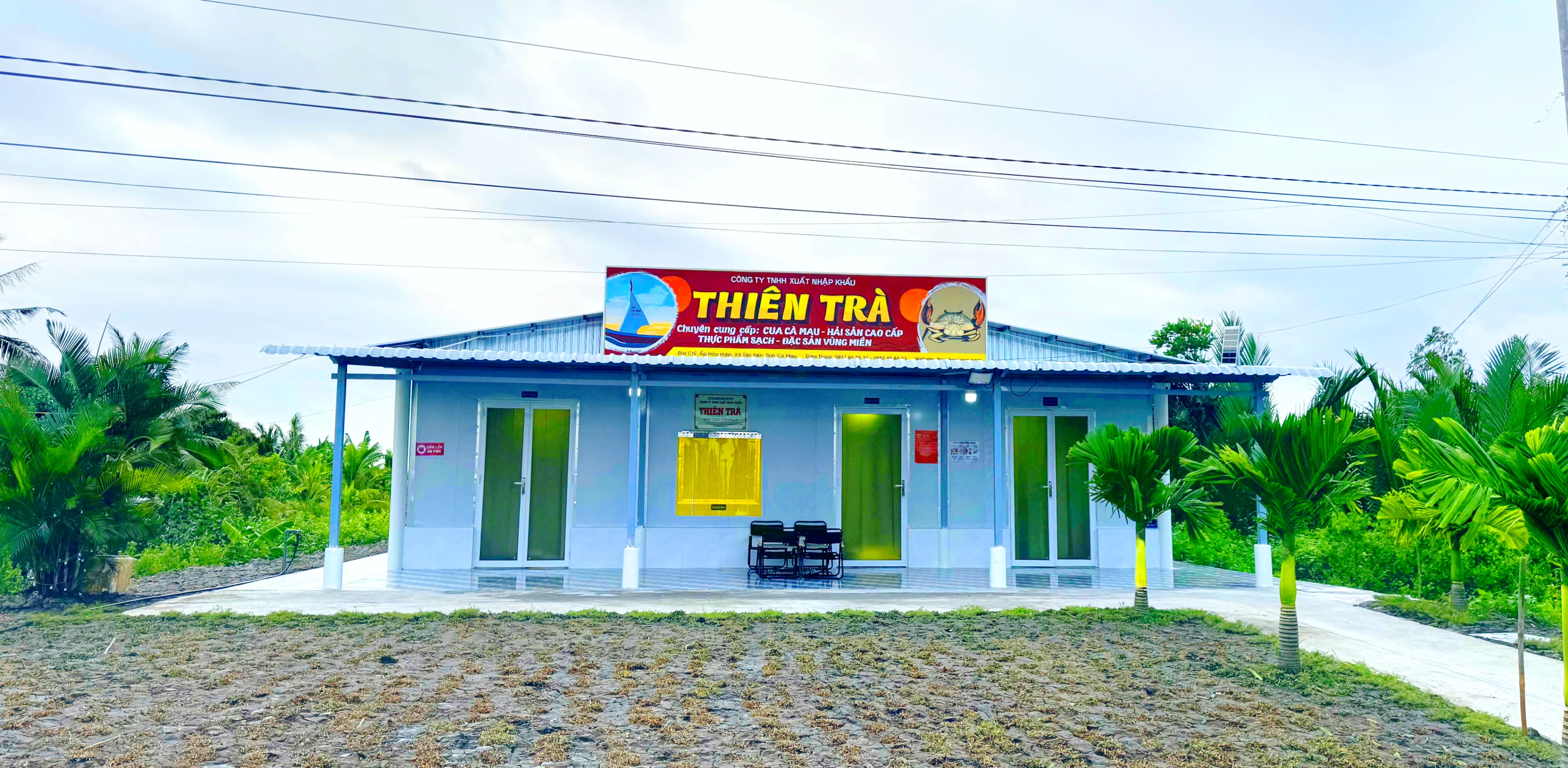 GIỚI THIỆU VỀ THIÊN TRÀ